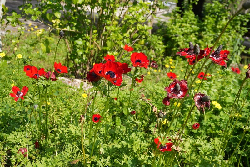 20240225 - 0415 - Sony - Still - Trip 13 - Beit Shearim and Tzippori (1)-1