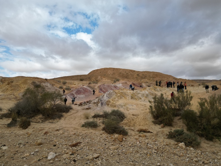 Colored Sand - Tour 3 - Negev I 20231224 -  1024-1