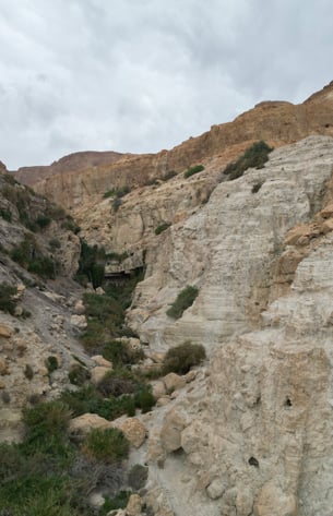 Ein-Gedi