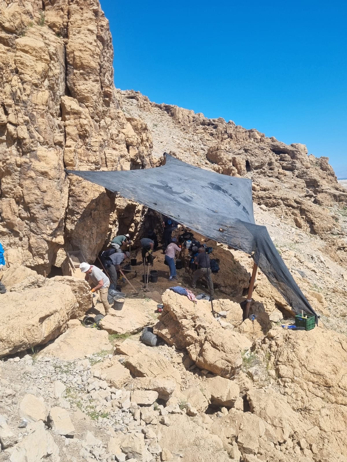 The Dead Sea Scrolls