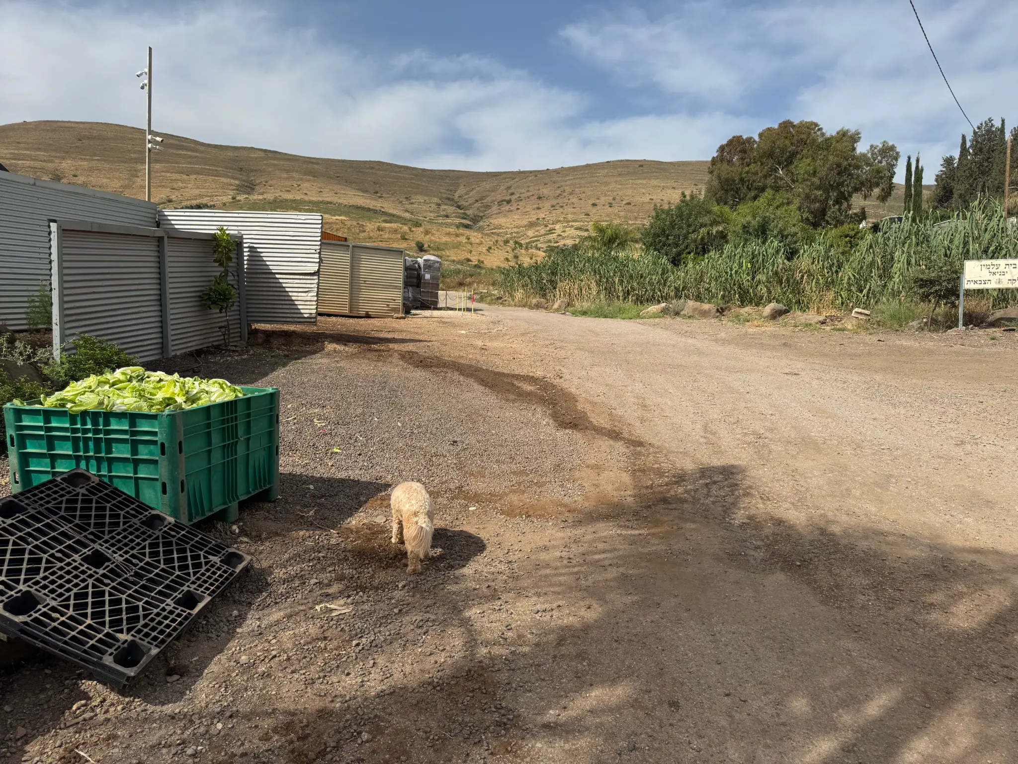 Yavne'el farm landscape